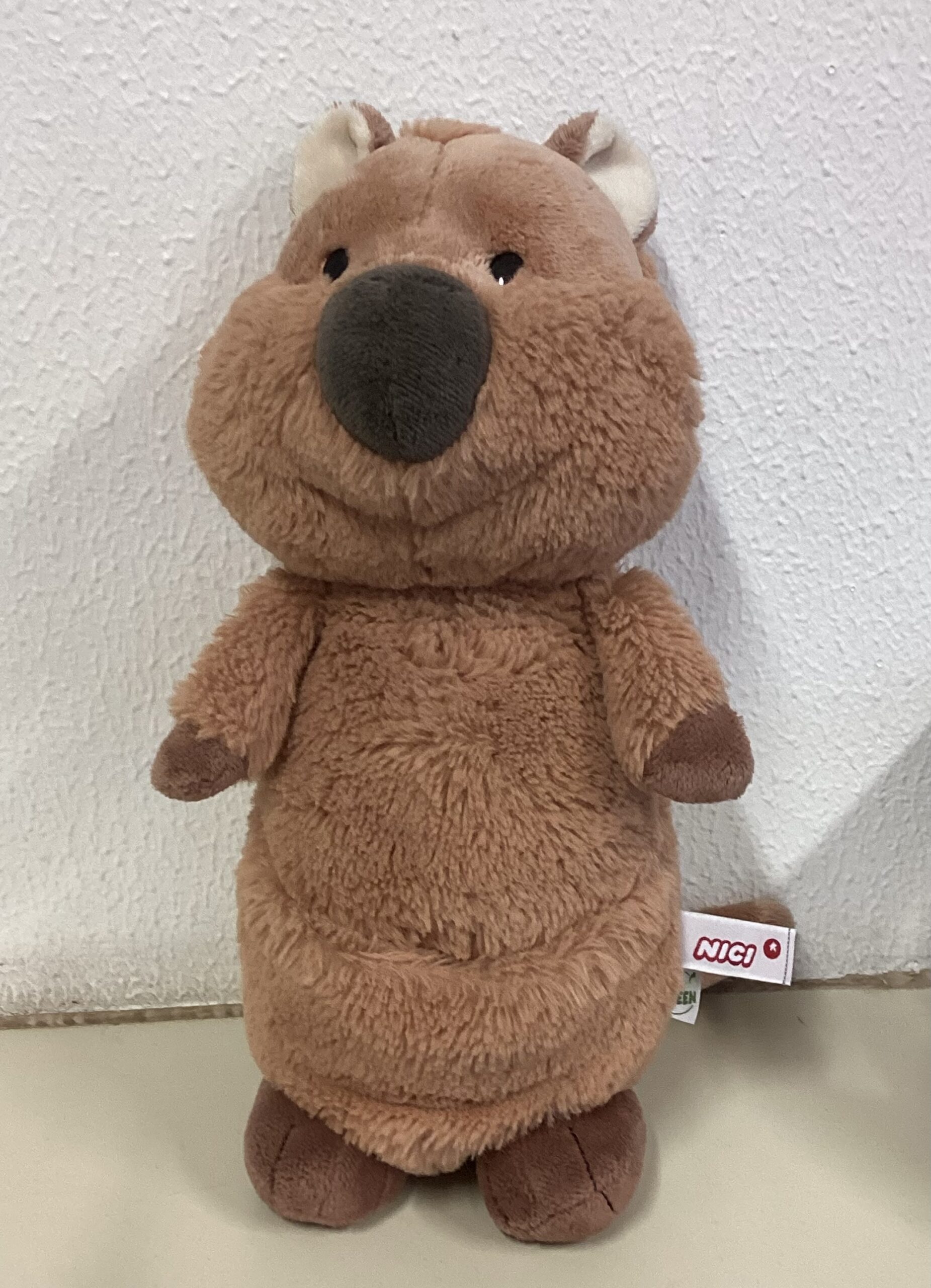 1a - Quokkaklasse